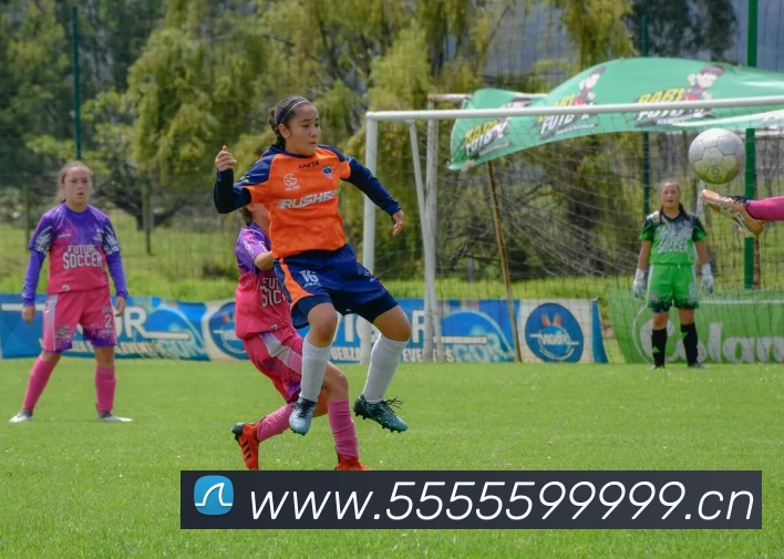 米兰官网入口平台生态图